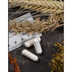 Magnesium Glycinat 100 mg American Biologics 90 ST