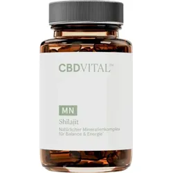 CBD Vital Shilajit Kapseln (60St)