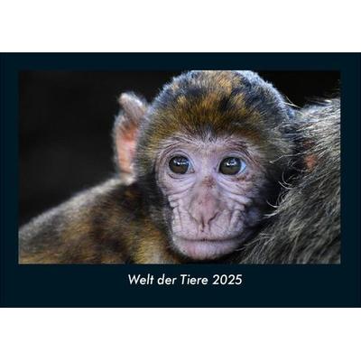 Welt der Tiere 2025 Fotokalender DIN A4