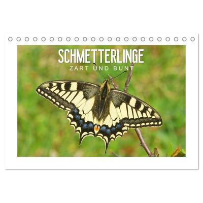 Schmetterlinge: zart und bunt (Tischkalender 2027 DIN A5 quer), CALVENDO Monatskalender