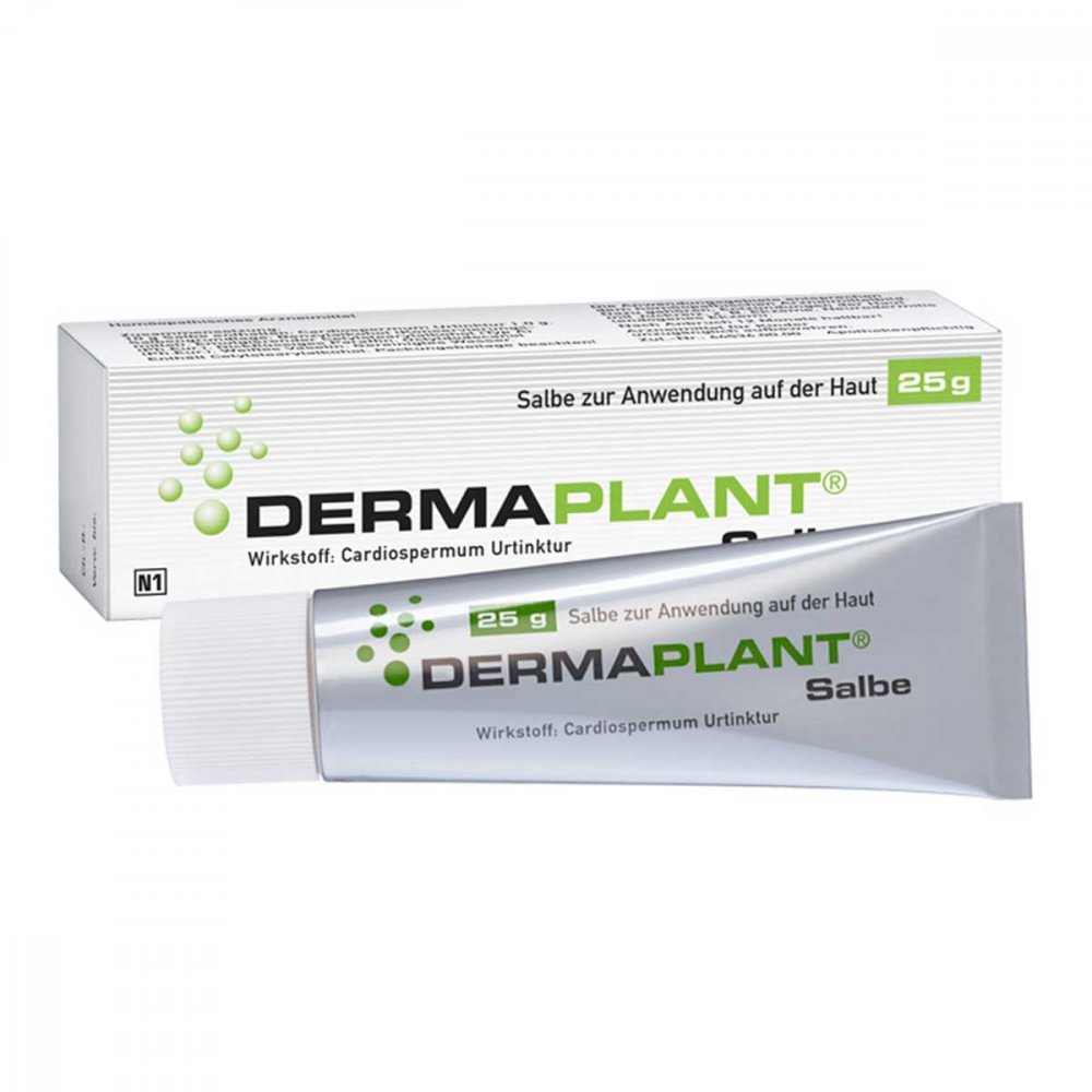 Dr.Willmar Schwabe GmbH & Co.KG Dermaplant® Salbe 01713512