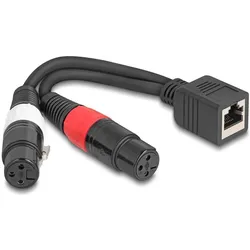 Delock Adapterkabel RJ45 Buchse zu 2 x XLR 3 Pin Buchse schwarz 20 cm (88178) (Splitter), Audio Adapter, Schwarz