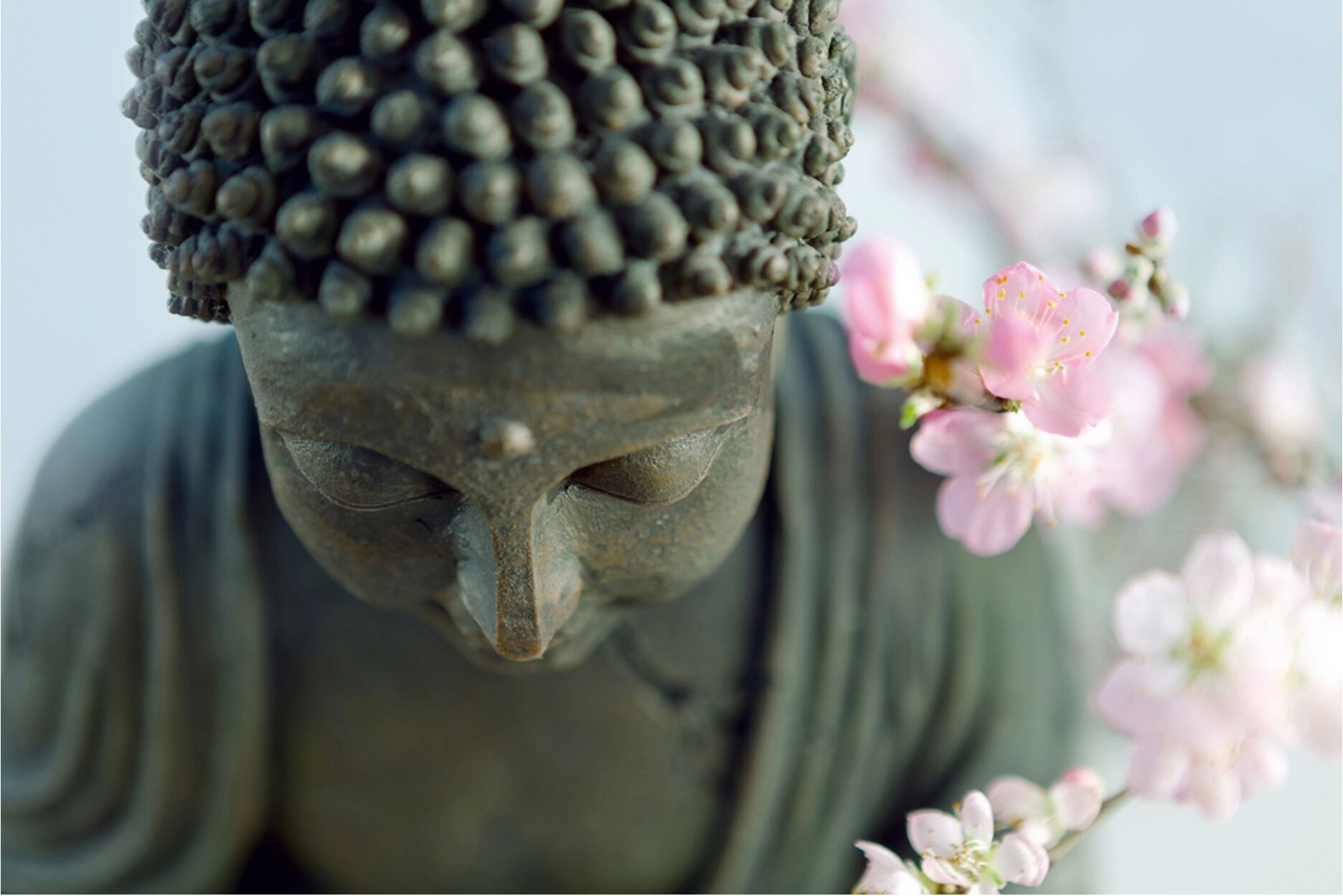 image LAND Buddha