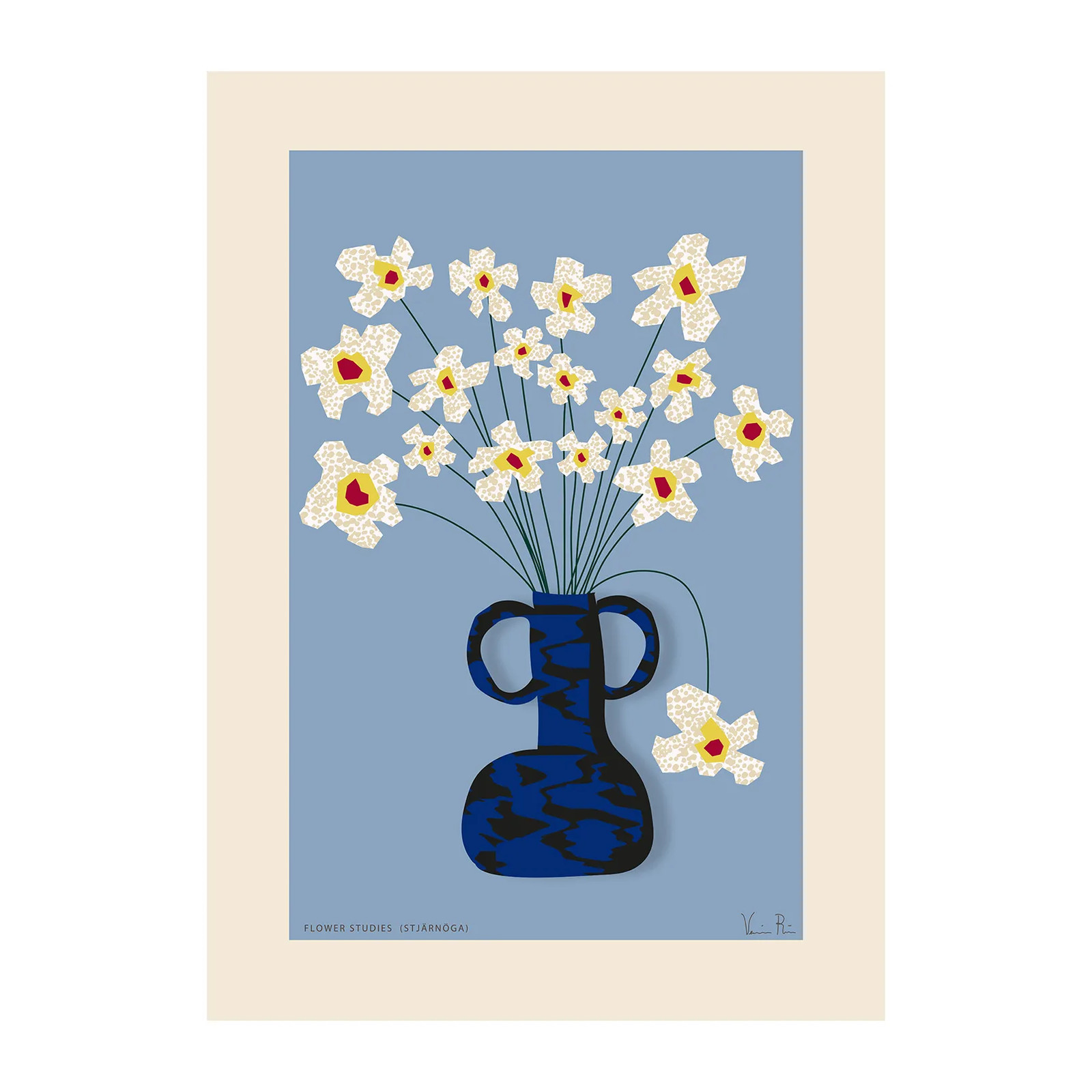 Paper Collective Flower Studies 04 Spaanse margriet poster 30 x 40 cm