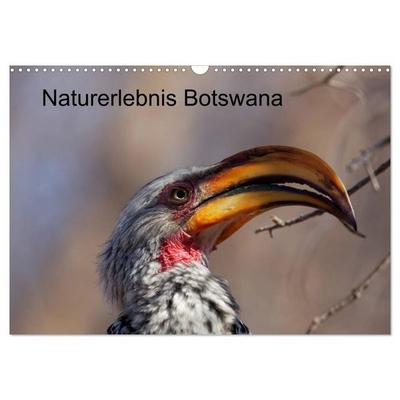 Naturerlebnis Botswana (Wandkalender 2027 DIN A3 quer), CALVENDO Monatskalender