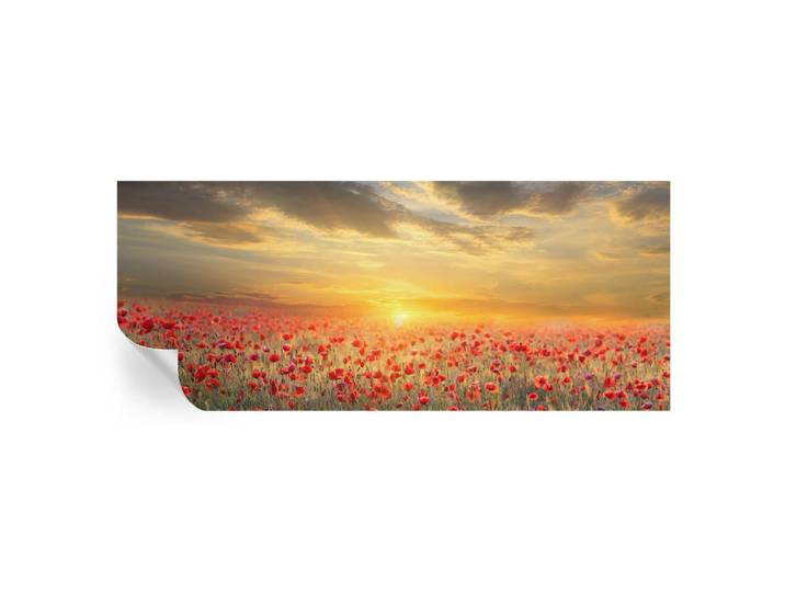 Wallfluent Fototapete 250x104 cm - Mohnfeld, Rot, 250x104 cm, Tapeten & Wandverkleidungen, Fototapeten