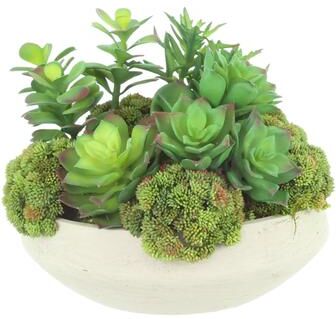 Creative Labs Succulents and Sedum Arranged in Fiberstone Vase