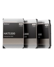 Synology HAT5300 Festplatte 8 TB intern 3.5" 8,9 cm SATA 6Gb/s 7200 rpm Puffer: 256 MB für Deep Learning NVR DVA3221 Disk Station DS1621 DS1821 RackStation RS1221 RS3621 RS4021 (HAT5300-8T)
