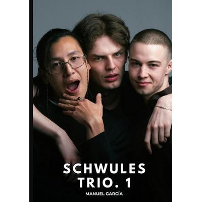Schwules Trio. 1, Gebundene Ausgabe von Manuel García, Tredition, 978-3-384-84207-7