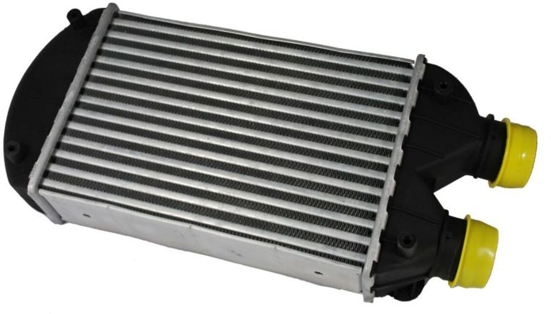 Thermotec Intercooler DAF002TT