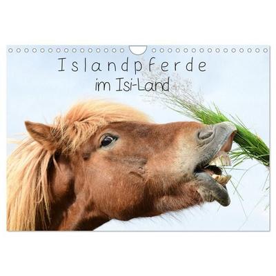 Islandpferde im Isi-Land (Wandkalender 2027 DIN A4 quer), CALVENDO Monatskalender