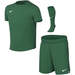 NIKE Park VIII Dri-FIT Trikot Set (Trikot+Shorts+Stutzen) Kleinkinder 302 - pine green/white XL (122-128 cm)