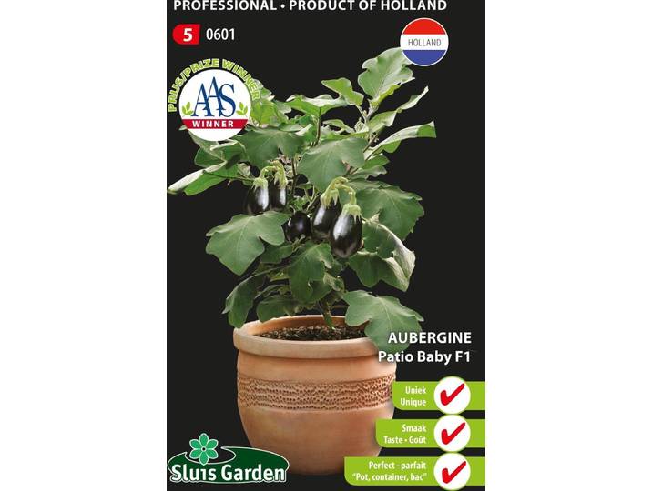 Sluis Garden - Aubergine Patio Baby F1 (pot)