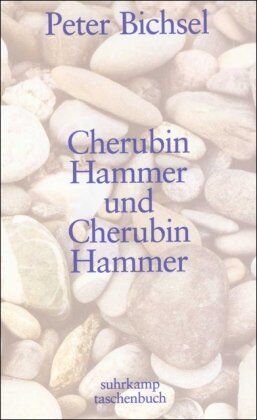 Peter Bichsel - Cherubin Hammer und Cherubin Hammer: Eine Erzählung (suhrkamp taschenbuch) - Preis vom 12.10.2026 11:37:12 h