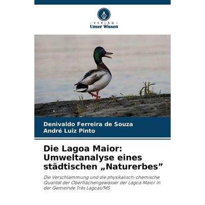 Die Lagoa Maior: Umweltanalyse eines städtischen 'Naturerbes'; Taschenbuch von Denivaldo Ferreira de Souza,André Luiz Pinto, Verlag Unser Wissen,