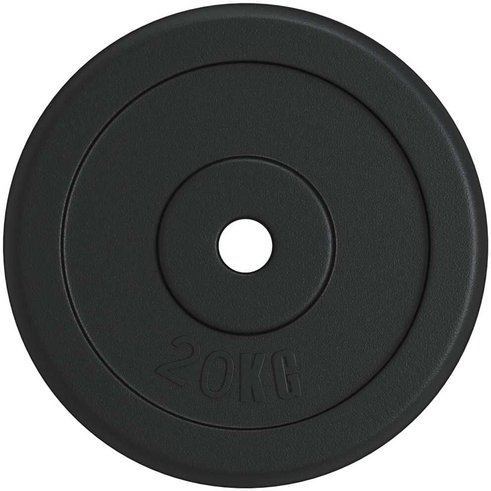 vidaXL Plaque de poids 20 kg Fonte
