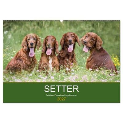 Setter - Geliebter Freund und Jagdkamerad (Wandkalender 2027 DIN A2 quer), CALVENDO Monatskalender