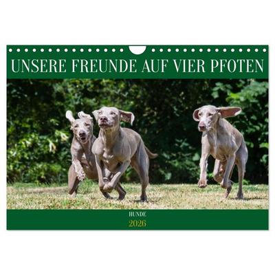 Unsere Freunde auf vier Pfoten - Hunde (Wandkalender 2026 DIN A4 quer), CALVENDO Monatskalender