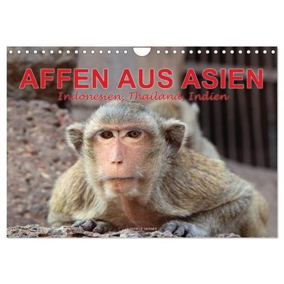 AFFEN AUS ASIEN Indonesien, Thailand, Indien (Wandkalender 2027 DIN A4 quer), CALVENDO Monatskalender