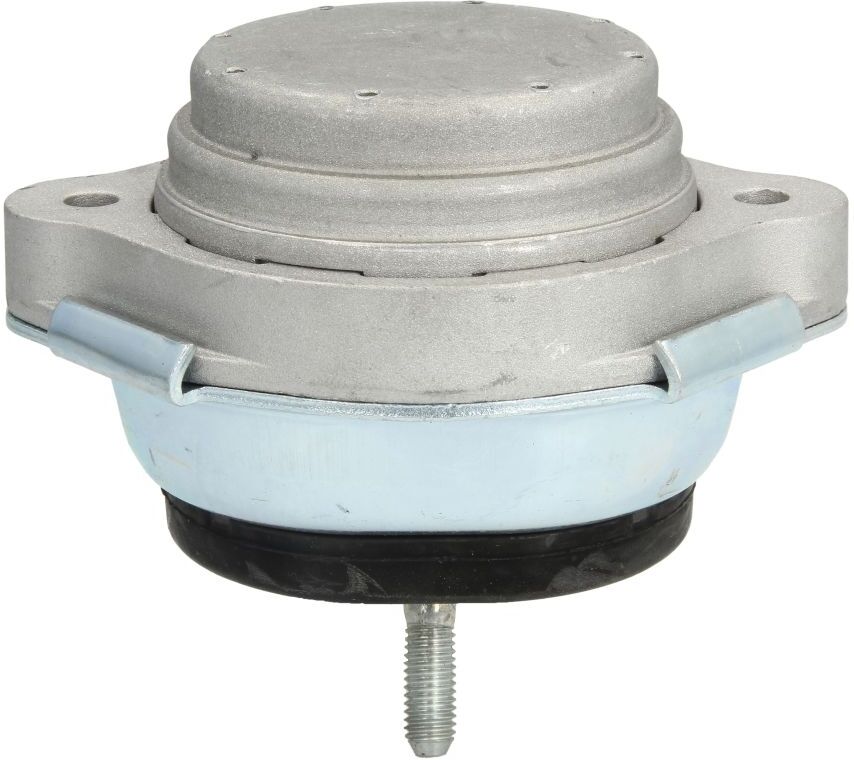 Reinhoch Supporto motore RH11-3030