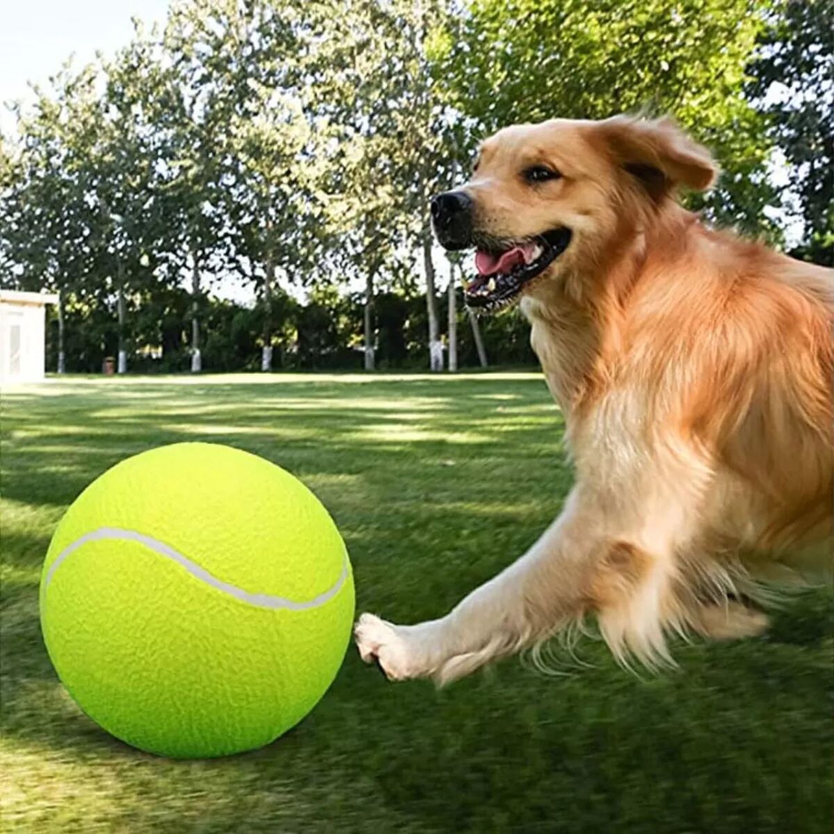 INF Übergroßer aufblasbarer Tennisball für Haustiere - 24 cm Spaß für Hunde
