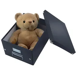 Leitz Click & Store WOW Aufbewahrungsbox A4 laminierter Karton Schwarz 281 x 370 x 200 mm