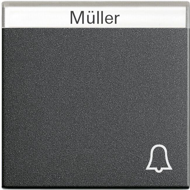 Gira Interrupteur de sonnette anthracite avec inscription, System55 067328 (067328)
