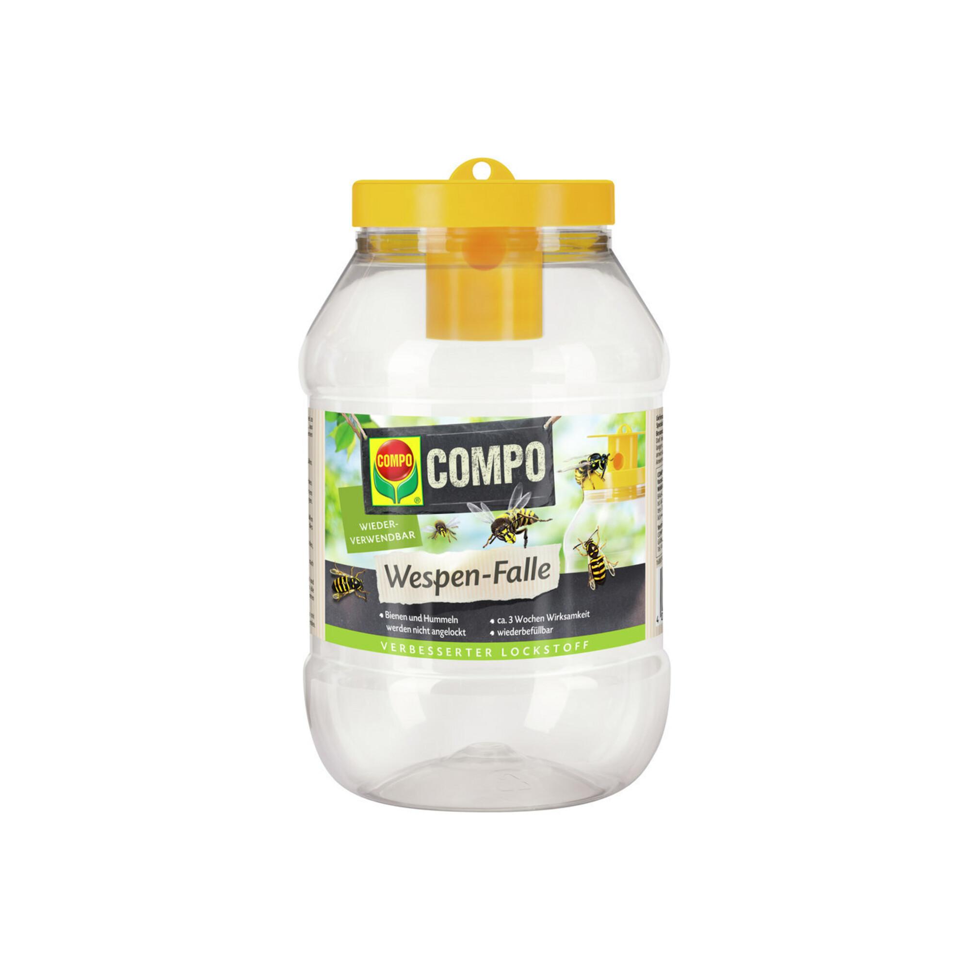 COMPO Wespen-Falle (22434)