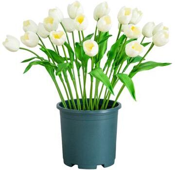 Nearly Natural 2-ft UV Resistant Artificial Tulip Plant (Indoor/Outdoor) - Green