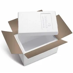 VEPATIM 24x Isolierboxen mit Deckel aus rEPS 330 x 225 x 225 mm 7,3 Liter inkl. Umkarton