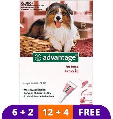 Advantage Large Dogs 21-55lbs (Red) 4 Doses