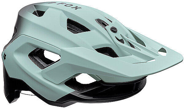 Fox Fahrradhelm Speedframe Pro grau   L B