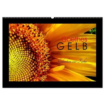 Goethes Gelb Gedanken zur Farbe (Wandkalender 2027 DIN A2 quer), CALVENDO Monatskalender