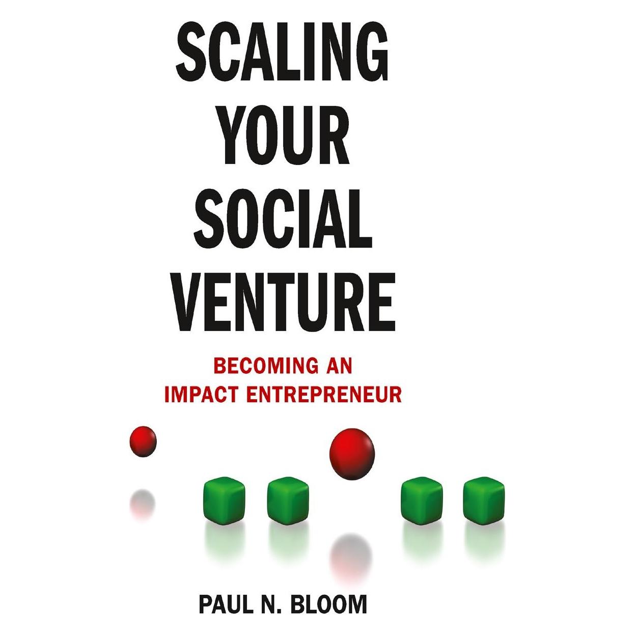 Palgrave Macmillan Scaling Your Social Venture (Englisch, Hardcover, P. Bloom, Paul N. Bloom) (9780230377288)