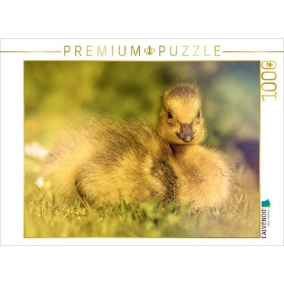 CALVENDO Puzzle Mit seinem flauschigen Look und dem süßen Blick bringt dieses Entlein jeden zum Lächeln. | 1000 Teile Lege-Größe 64x48cm Foto-Puzzle