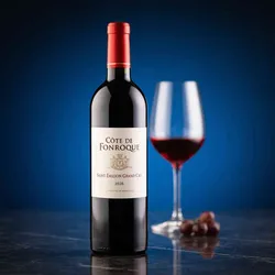 Château Fonroque 2020 Côte de Fonroque Saint-Emilion Grand Cru Classé 2020 Cabernet Franc,Merlot Frankreich