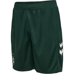 hummel SV Werder Bremen Auswärtsshorts 2026/27 6718 - storm M