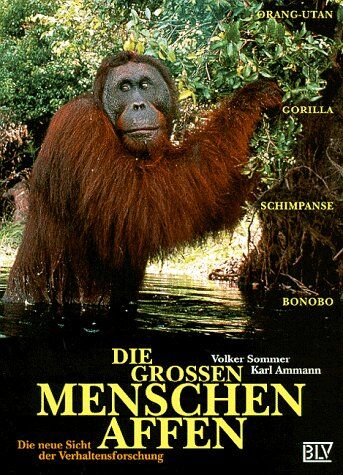 Volker Sommer - Die großen Menschenaffen - Preis vom 09.10.2026 07:28:09 h