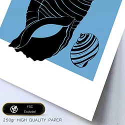 POSTER Set Mit 6 In Schwarzer Tinte Meeresschnecken Kunstdrucke Von Meer Und Ozean Für Innenarchitektur A3 & A4 Weißer Rahmen