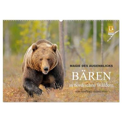 Magie des Augenblicks - Bären in nordischen Wäldern (Wandkalender 2027 DIN A2 quer), CALVENDO Monatskalender