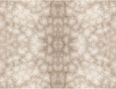 SAS Equestrian Home Tan Palomino Peel and Stick Wallpaper
