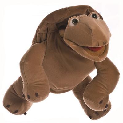 Sammy die braune Schildkröte