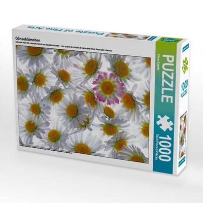 CALVENDO Puzzle Gänseblümchen | 1000 Teile Lege-Größe 64x48cm Foto-Puzzle für glückliche Stunden