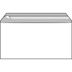 100 PP Klappenbeutel 229 x 114 mm | 100 μm, transparent