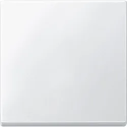 Merten Wippe pws 434119