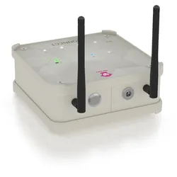 APE Labs CONNECT - creme