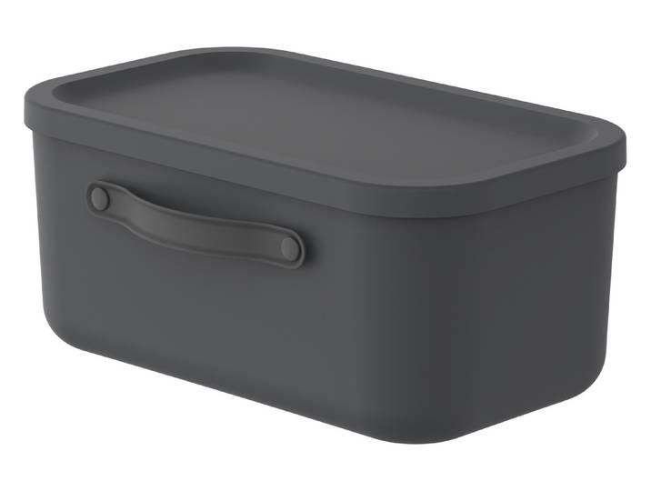 Rotho Aufbewahrungsbox mit Deckel Mythen 39.5 × 26.5 x 17.7 cm 12 l