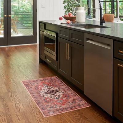 Nourison Brilliance Machine Washable Persian Medallion Area Rug
