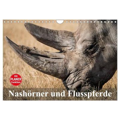Nashörner und Flusspferde (Wandkalender 2027 DIN A4 quer), CALVENDO Monatskalender