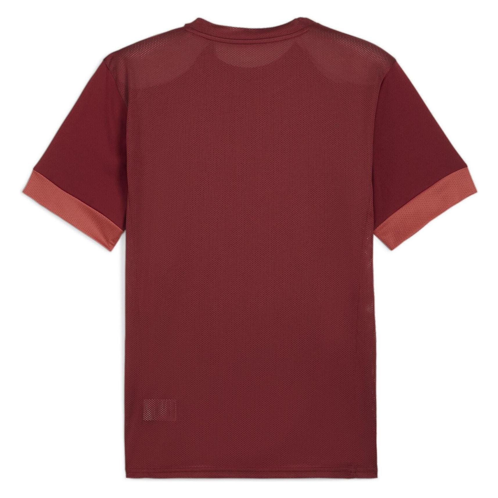 Puma teamGOAL Matchday Jersey (XL) (705747_09)